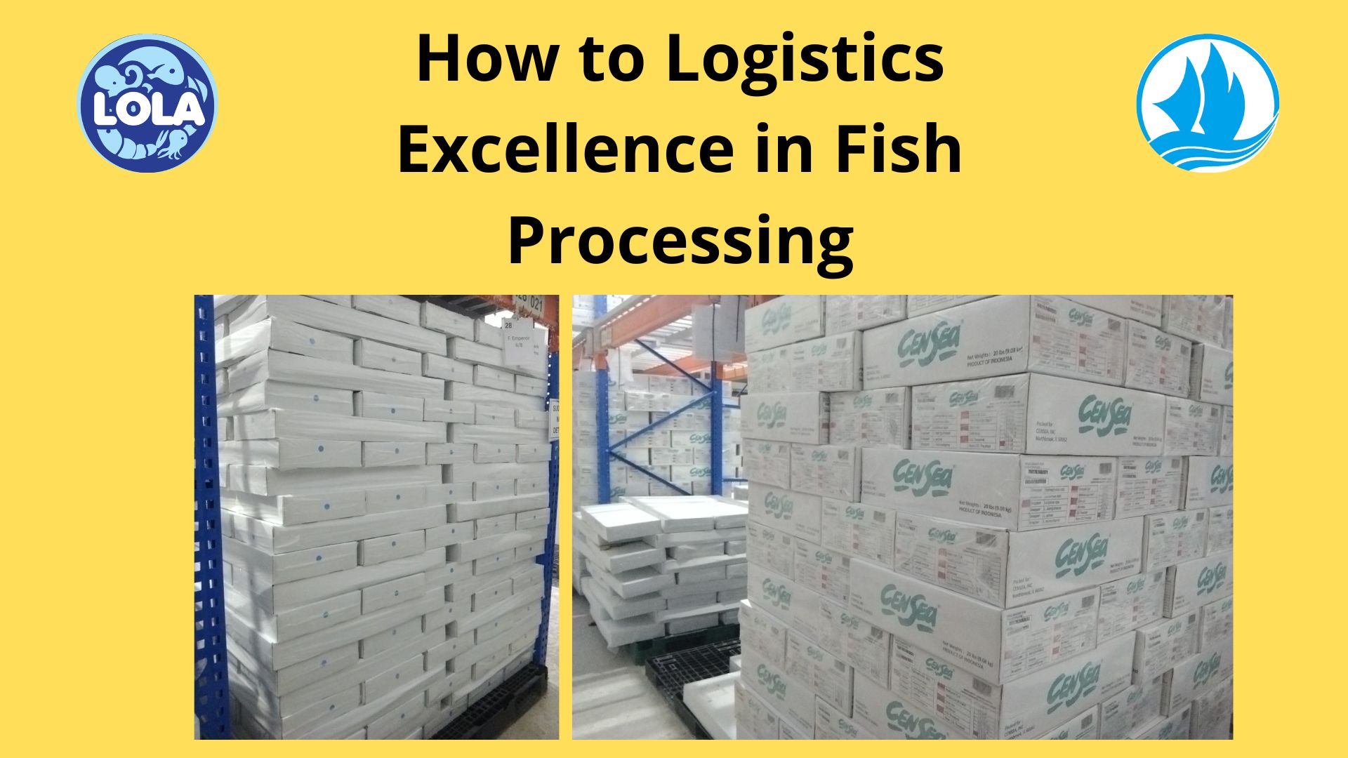  How to Logistics Excellence in Fish Processing